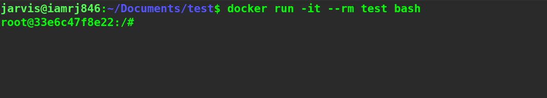 $ docker run -it --rm test bash