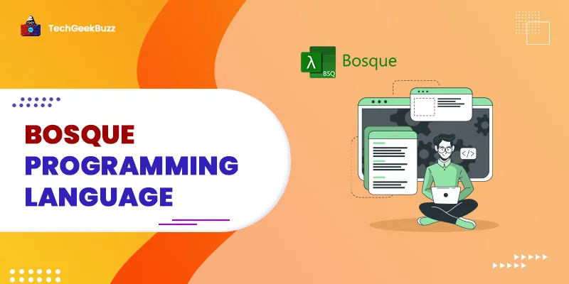 Bosque Programming Language -  Learn the Basics