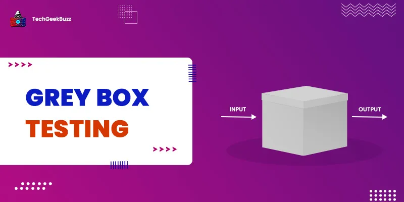 What is Grey Box Testing? [Definition and Techniques]