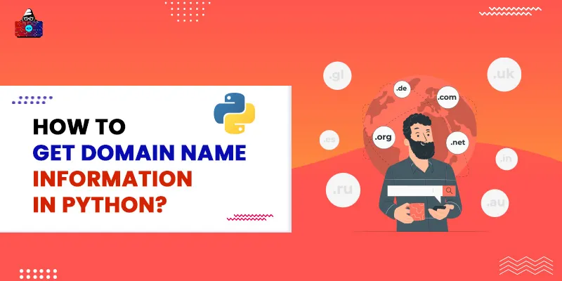 How to Get Domain Name Information in Python?