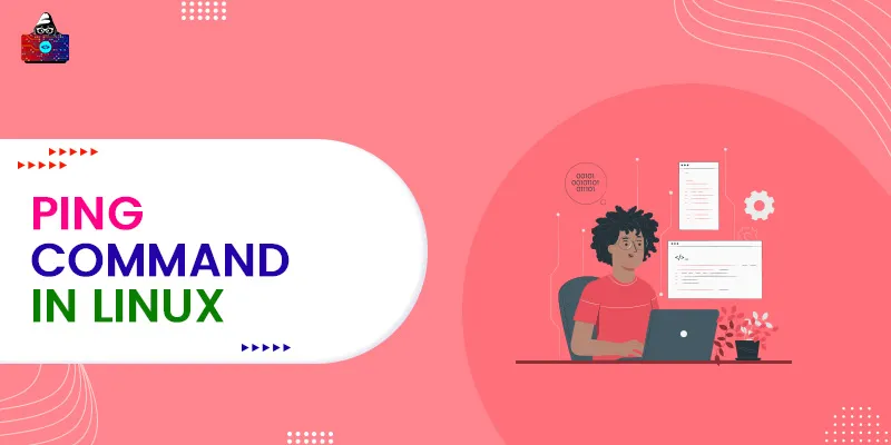 PING Command in Linux with examples
