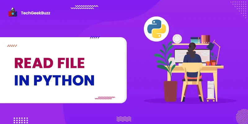 Read File in Python