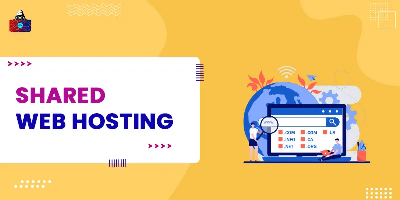 Best Shared Web Hosting Providers