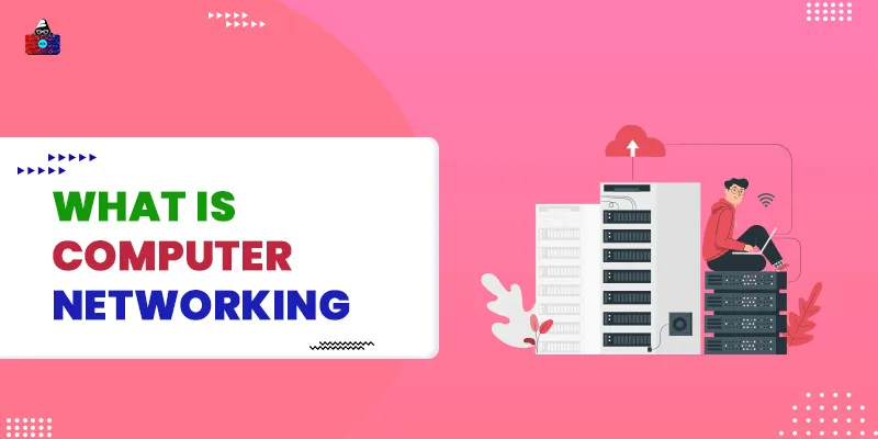 What is Computer Networking? [A Definitive Guide for Beginners]