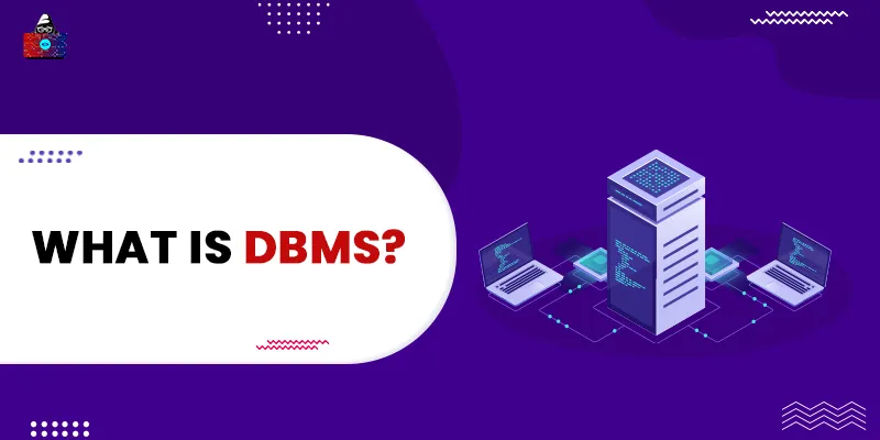 What is DBMS? - Everything You Need to Know