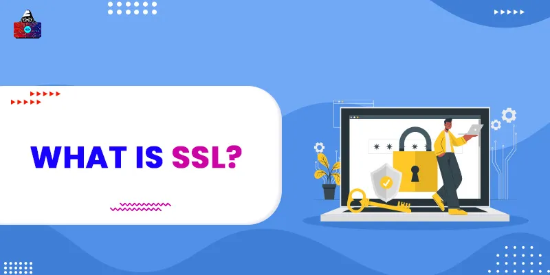 What is SSL? [Definition] A Complete Beginner's Guide
