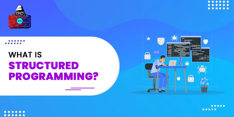 What is Structured Programming? [Definition, Pros, and Cons]