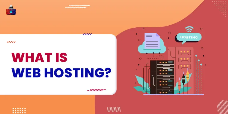 What is Web Hosting?