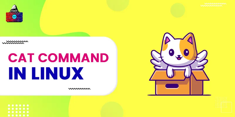 cat Command in Linux with Examples