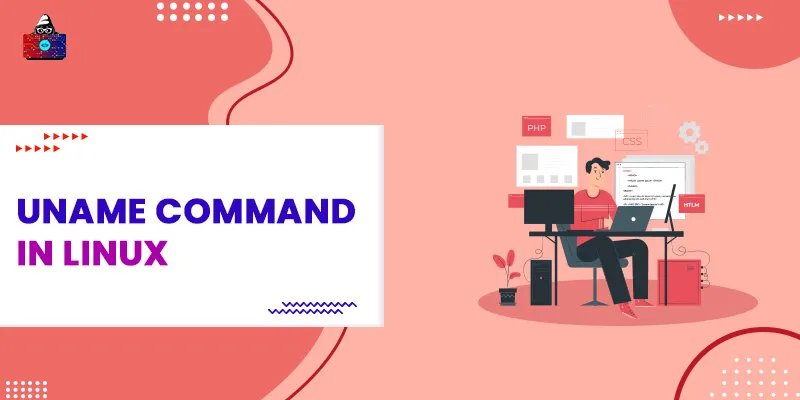 uname Command in Linux With Examples