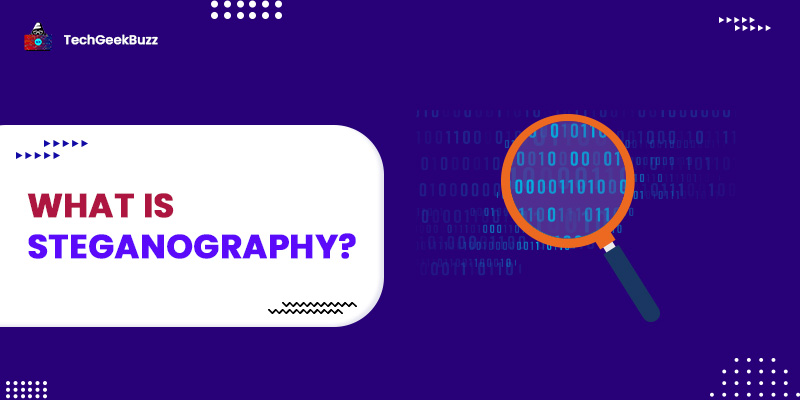 What is Steganography? [Advantages, Examples, & Types]