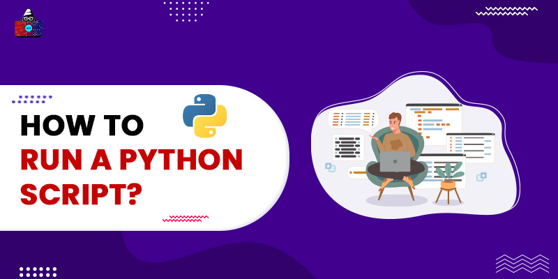 How to Run a Python Script?