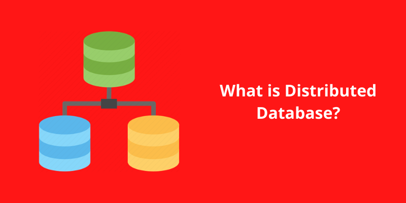 What is Distributed Database?