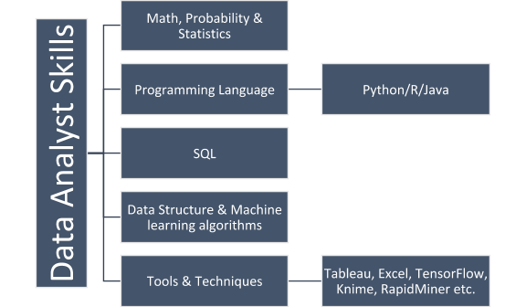 Data Analyst Skills