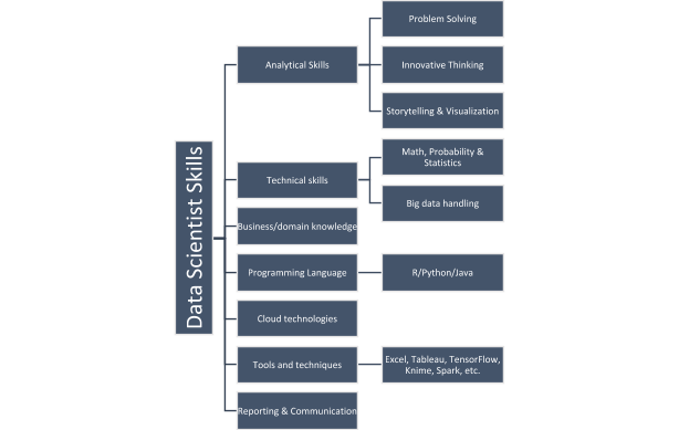 Data scientist skills