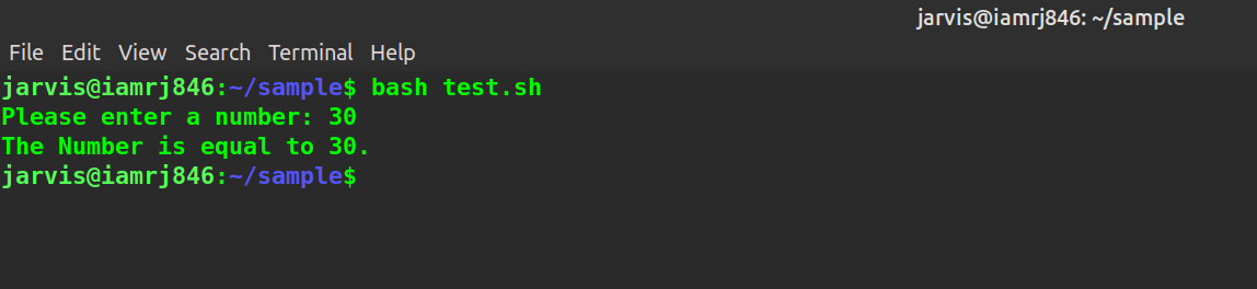 Conditional Statements in Bash Scripts