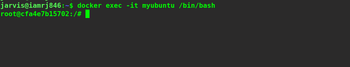 $ docker exec -it myubuntu /bin/bash