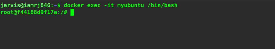 $ docker exec -it myubuntu :bin:bash