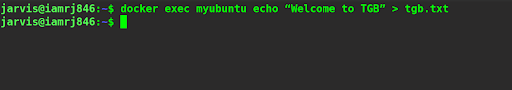 $ docker exec myubuntu echo “Welcome to TGB” > tgb.txt