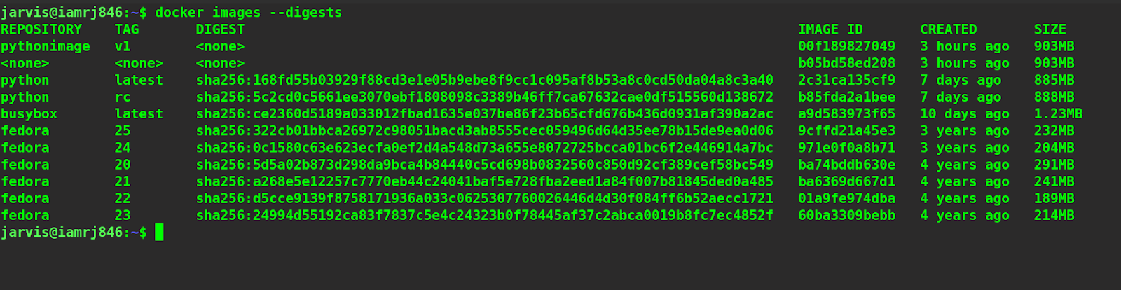 docker images --digests