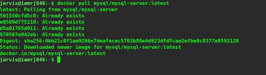 $ docker pull mysql/mysql-server:latest