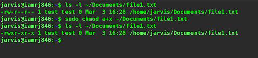 $ chmod a+x ~/Documents/file1.txt