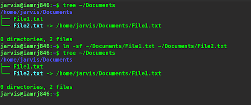  $ ln -sf ~/Documents/file1.txt ~/Documents/file2.txt