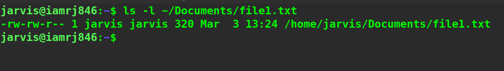 $ ls -l ~/Documents/file1.txt