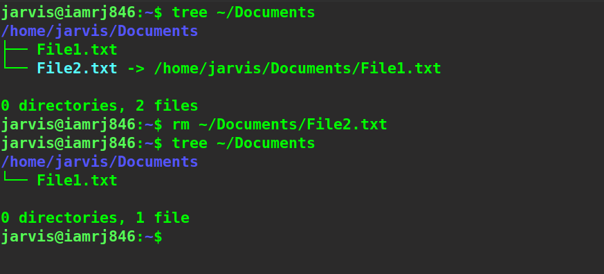  $ rm ~/Documents/File2.txt