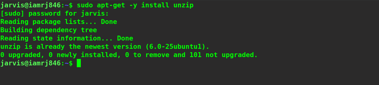 $ sudo apt-get -y install unzip