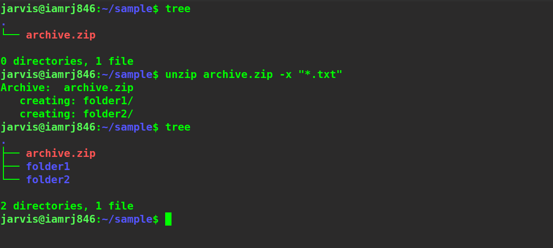 $ unzip archive.zip -x “*.txt”