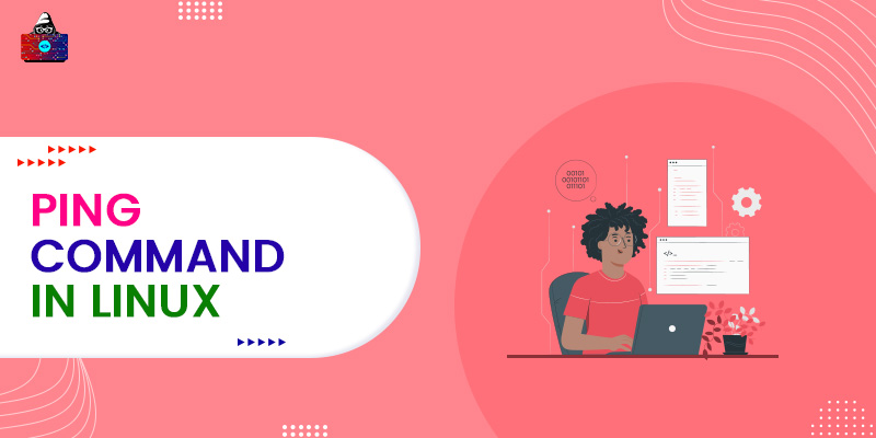 PING Command in Linux with examples