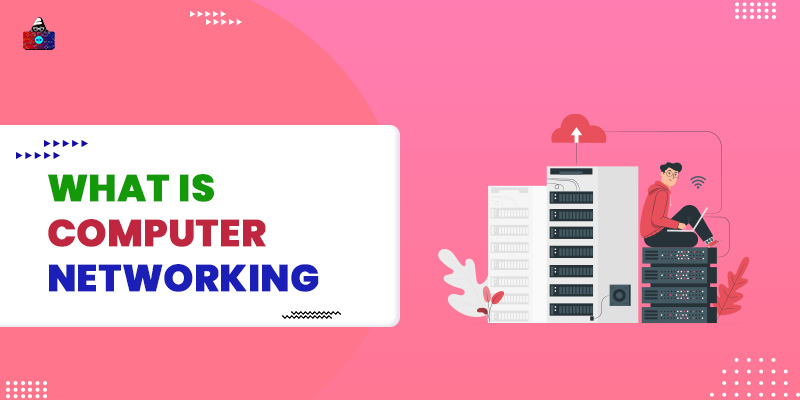 What is Computer Networking?
