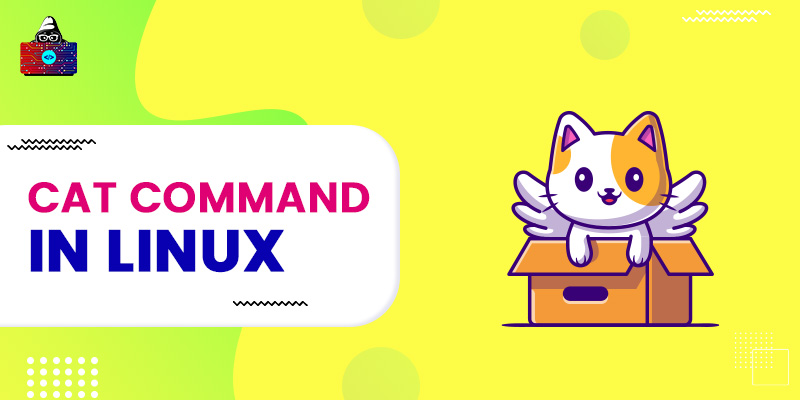 cat Command in Linux with Examples
