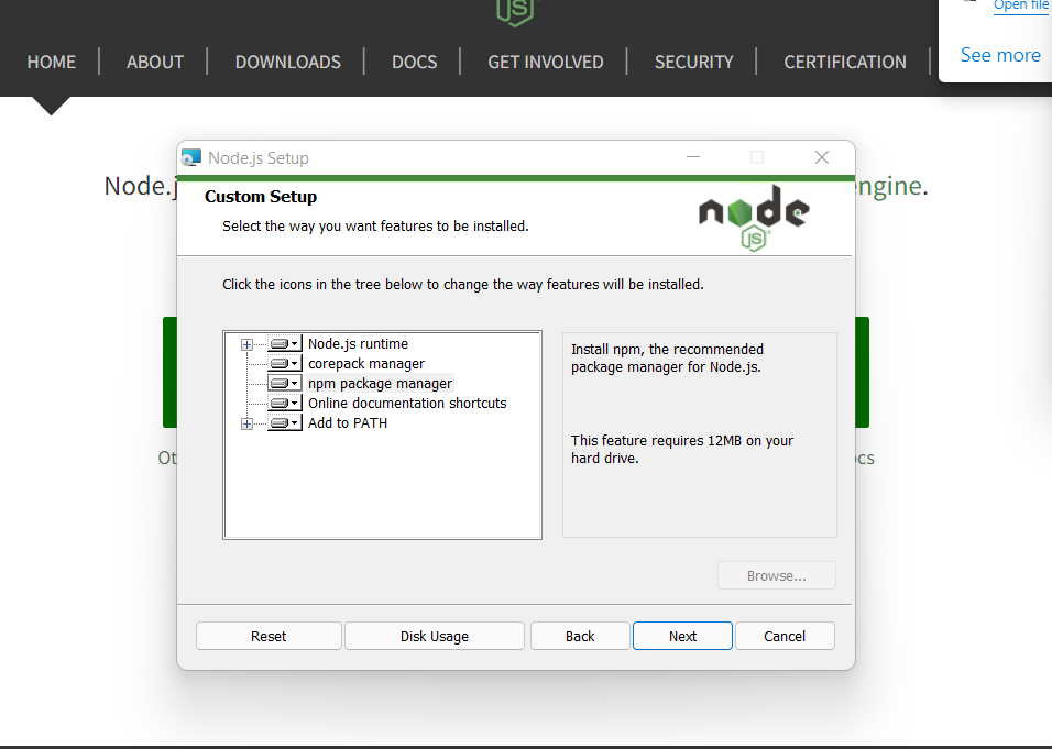 Installation Setup for NodeJS