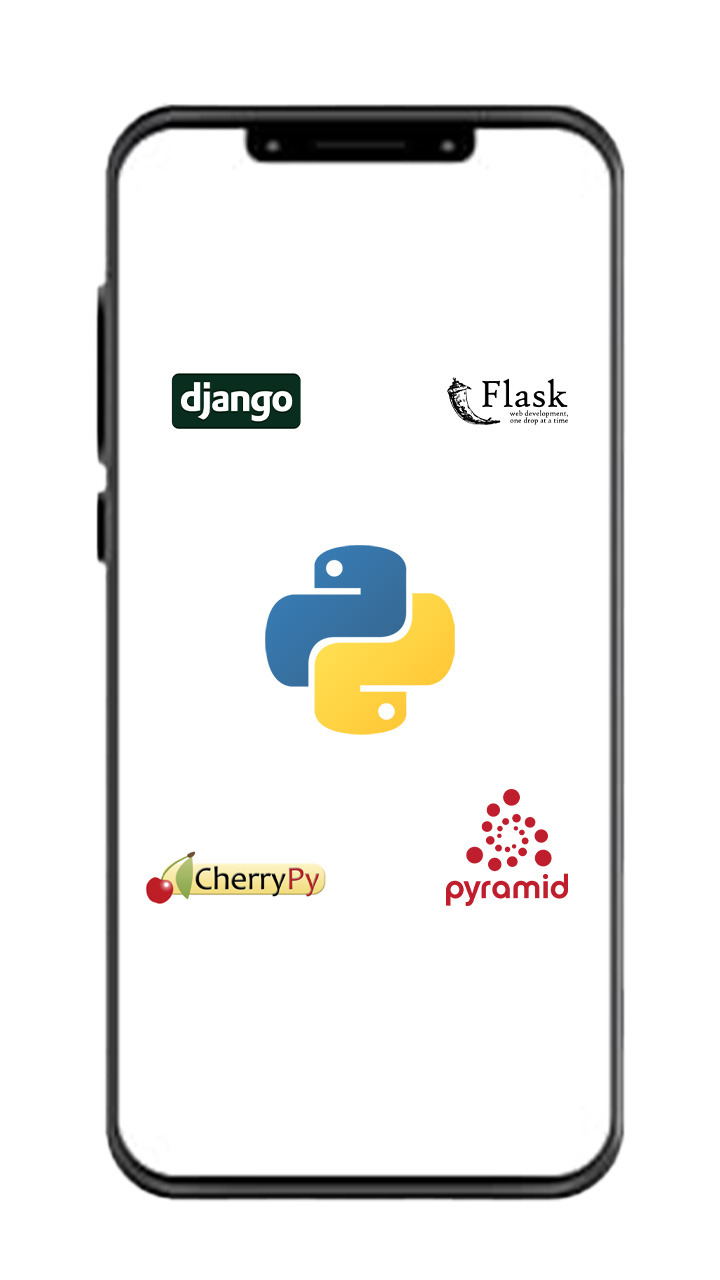 Python Web Frameworks