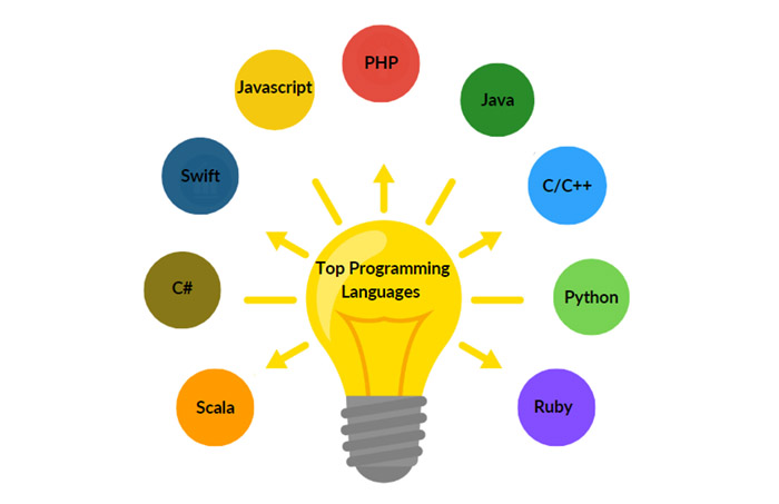 Choose a High-Level Programming Language