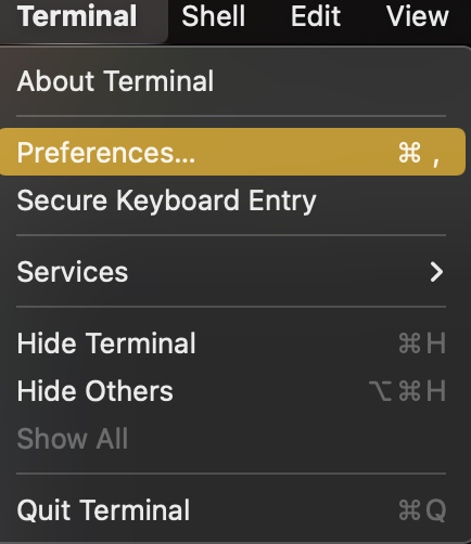 terminal preferences