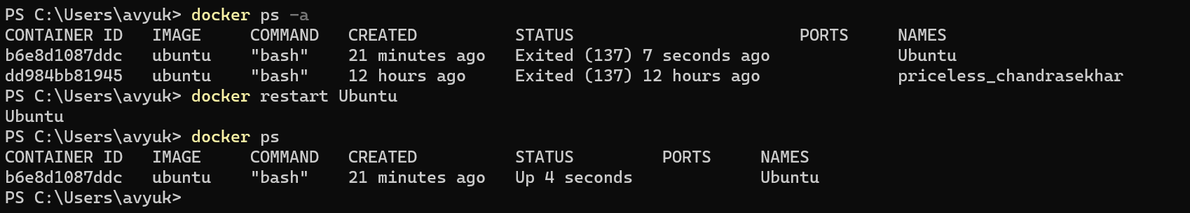 docker restart