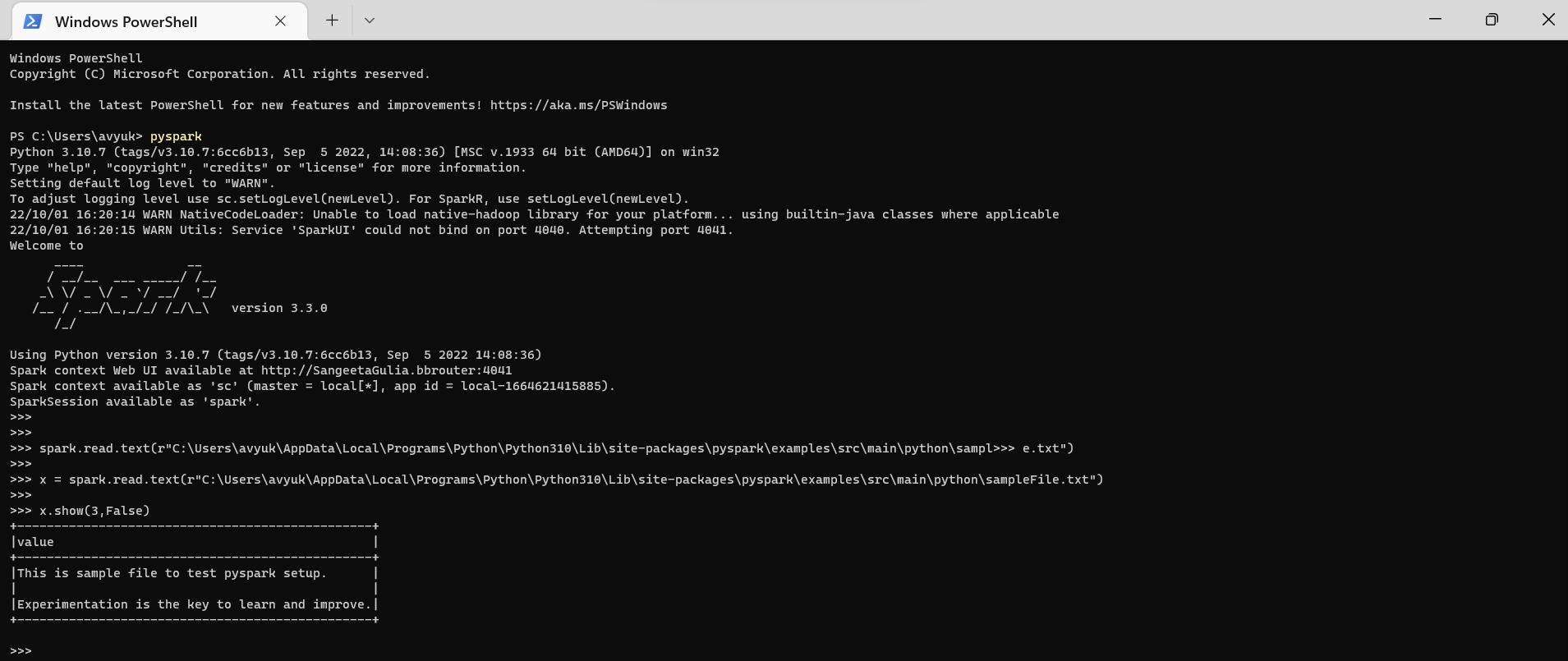 Test pyspark steup
