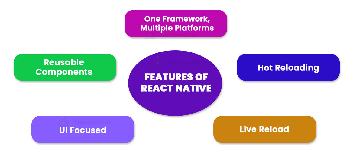 React vs React Native: A Detailed Comparison