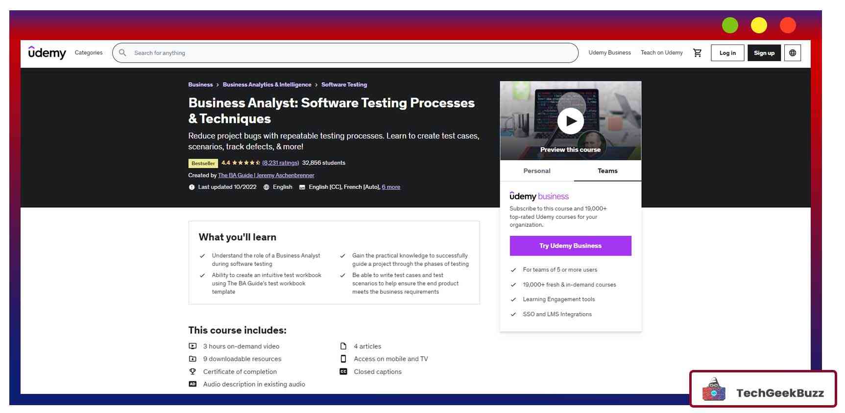 Business Analyst: Software Testing Processes & Techniques