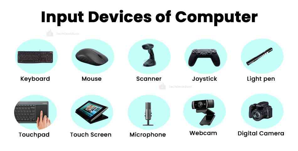 Input Devices of Computer Systems