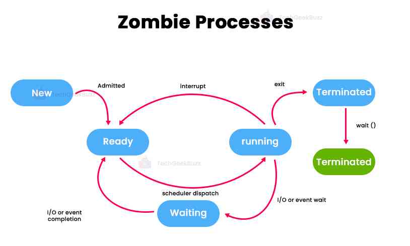 zombie processes
